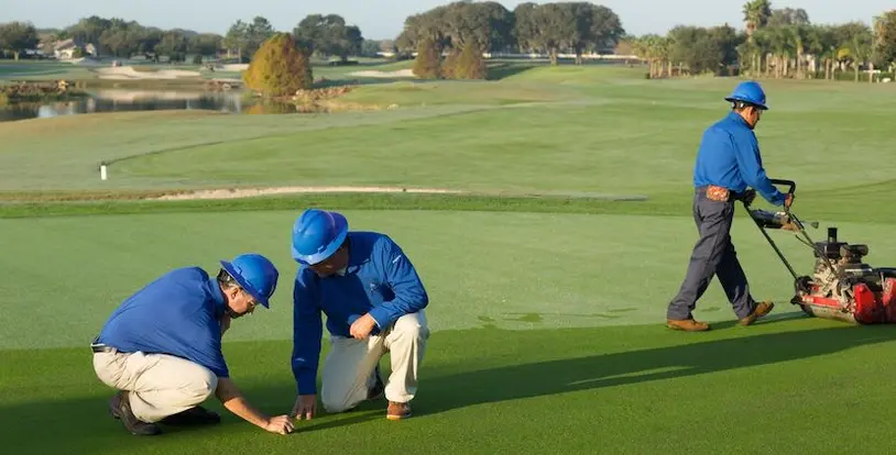 agronomist inspecting golf course turf